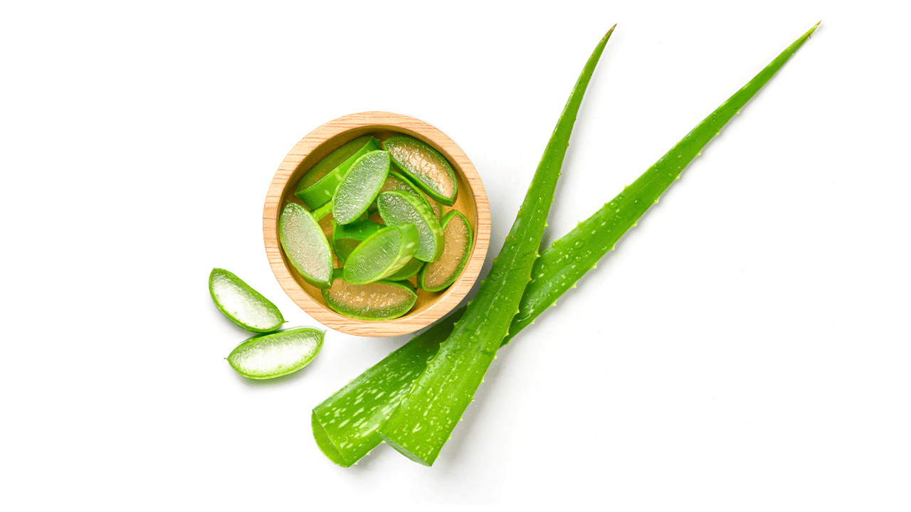 Aloe vera Benefits on Skin & Hair