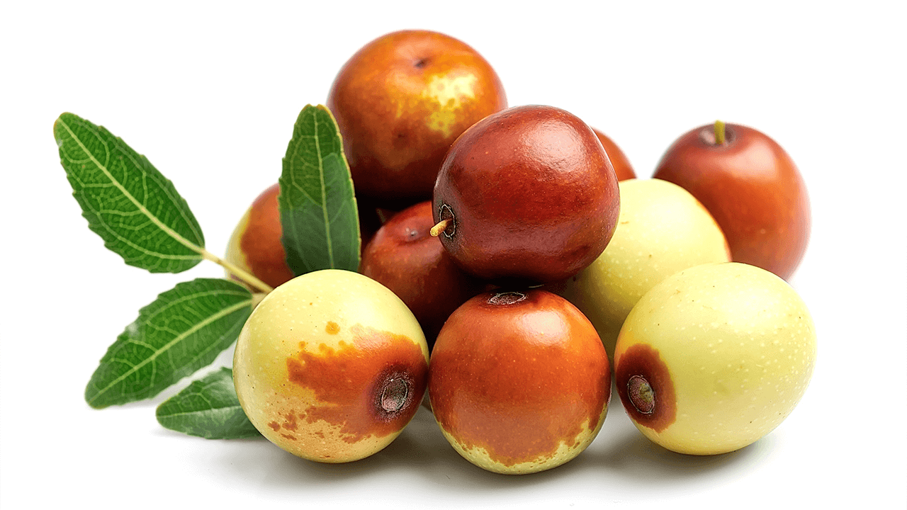 jojoba