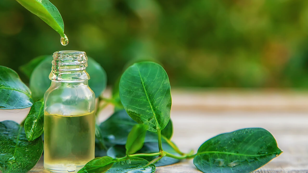 Benefits of tea tree oil