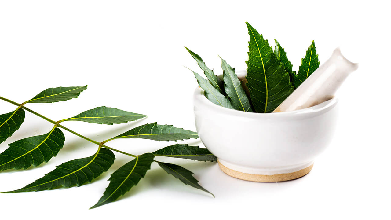 Benefits of Neem for Skin in Summer