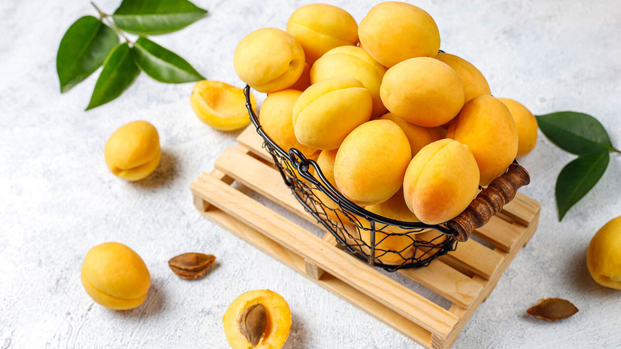 Apricot kernel oil benefits